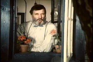 Bambulka - Meruňkový koláč