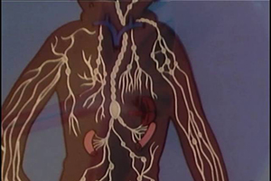 Byl jednou jeden život - Mízní soustava