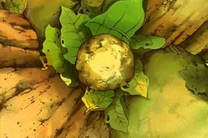 Ferda Mravenec - O hřišti pro malé děti